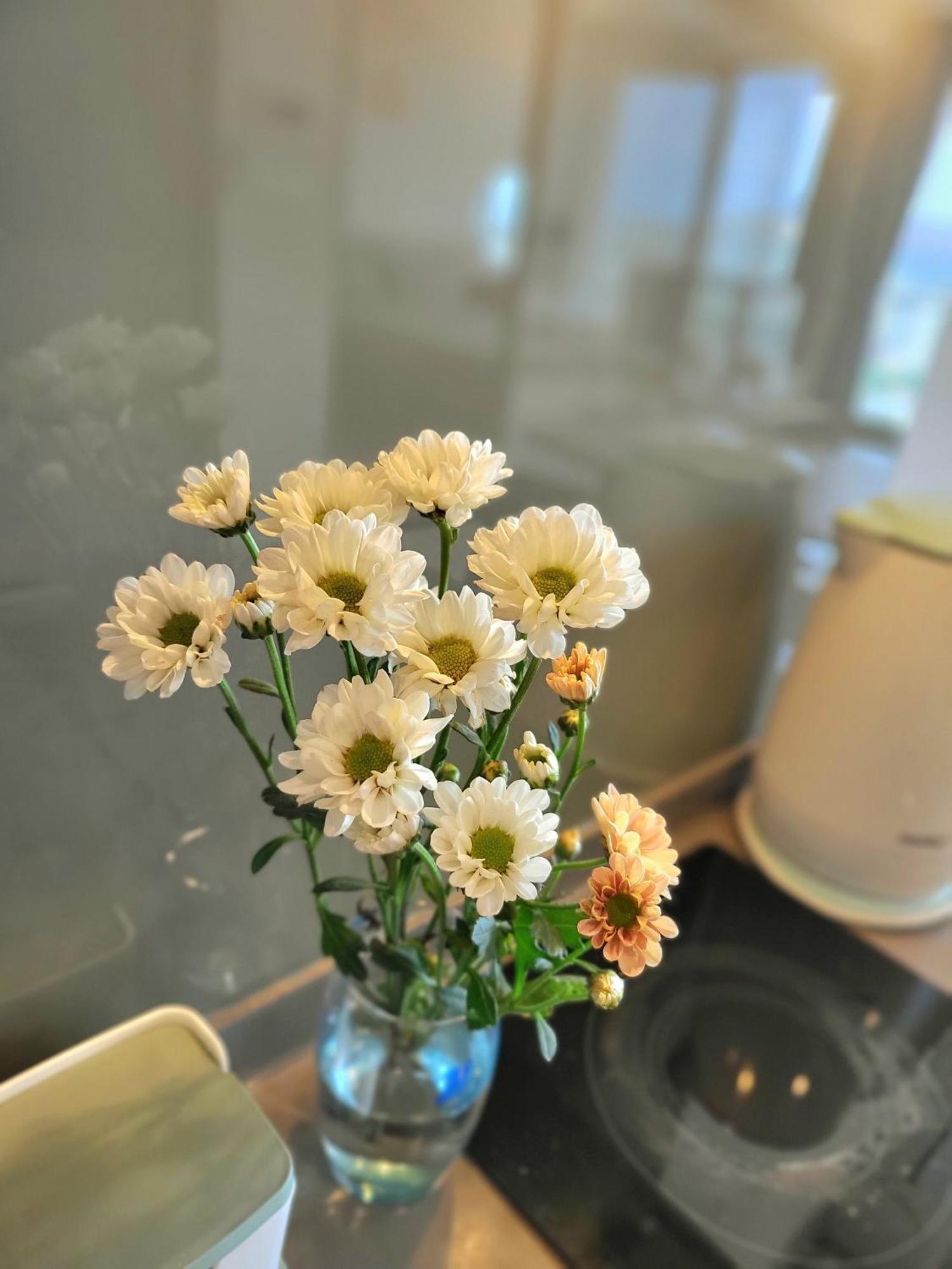 The Song Vung Tau Apartment Экстерьер фото